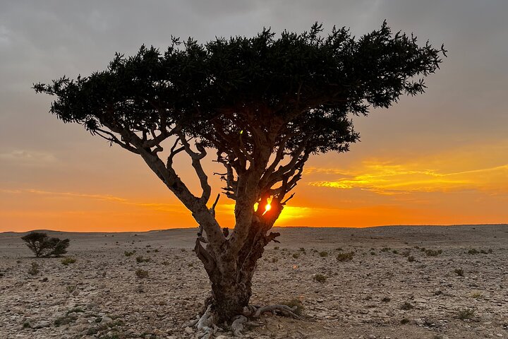 Salalah tour photo