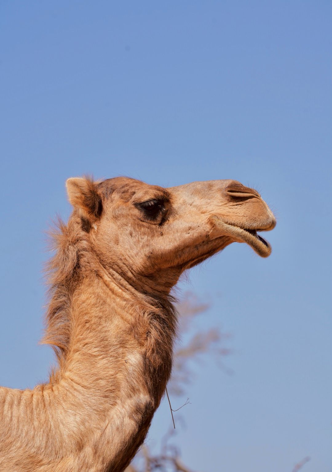 Salalah tour photo