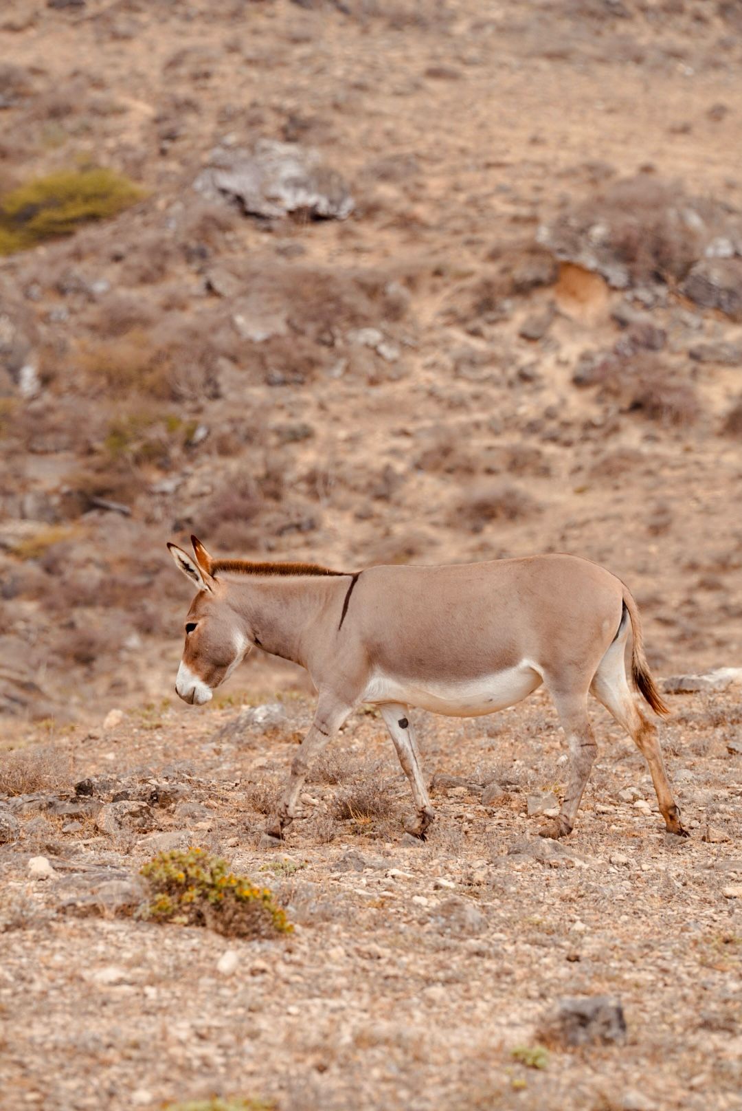 Salalah tour photo